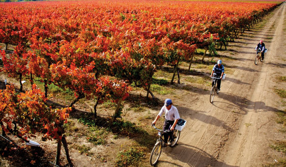 Tour de Vino en Bicicleta Cascada Expediciones